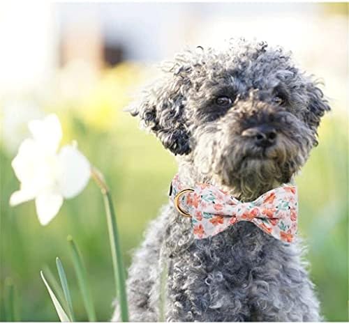 צווארון כלבי כותנה של פרח כותנה עם עניבת פרחים צווארון גור פרחוני פרח