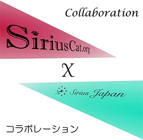 Sirius Cat SSD, 240 GB, Sirius JAPAN SIRIUS CAT CHAT CORT