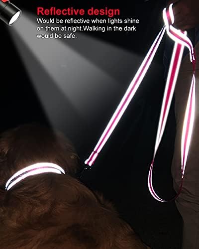 Joytale 11-16 '' צווארון כלבים LED ורצועה רפלקטיבית דו צדדית של 5ft, מדליקה בטיחות לילה נטענת צווארון חיית מחמד בהליכה והתאמת רצועת ניילון לכלבים