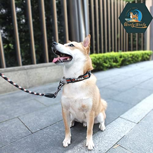 Woopy Woopy Martiningale Dog Collar עם אבזם שחרור צדדי, הצווארון אימוני בטיחות, צווארון כלבים בטיחותי, רב-צבעים, לכלב קטן, בינוני וגדול, שחור, רוחב רשת 1 , אורך 15.5 -18